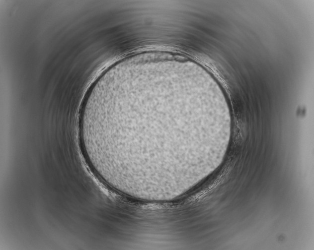 X0000098070898200805020955