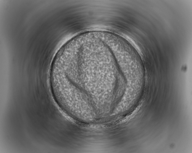 X0000098070901200805020955