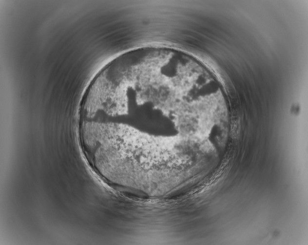 X0000098070903200805020955