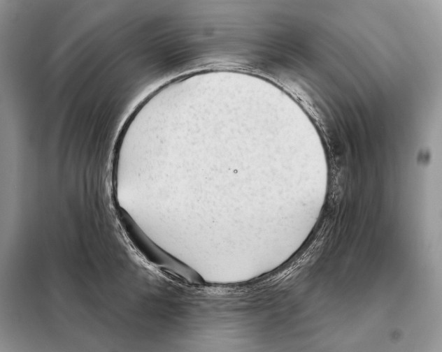 X0000098070904200805020955