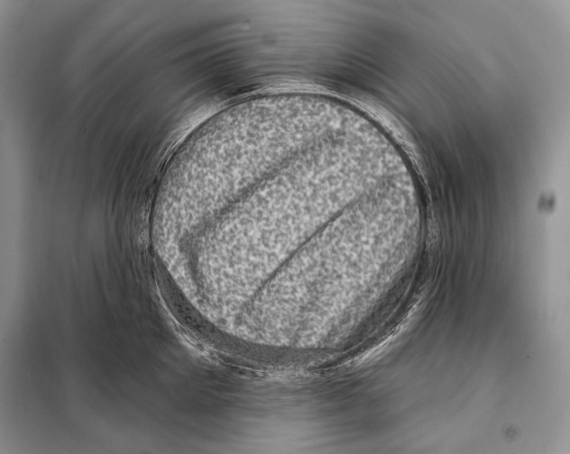 X0000098070905200805020955