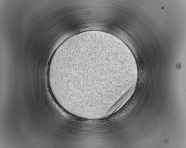 X0000098070906200805020954