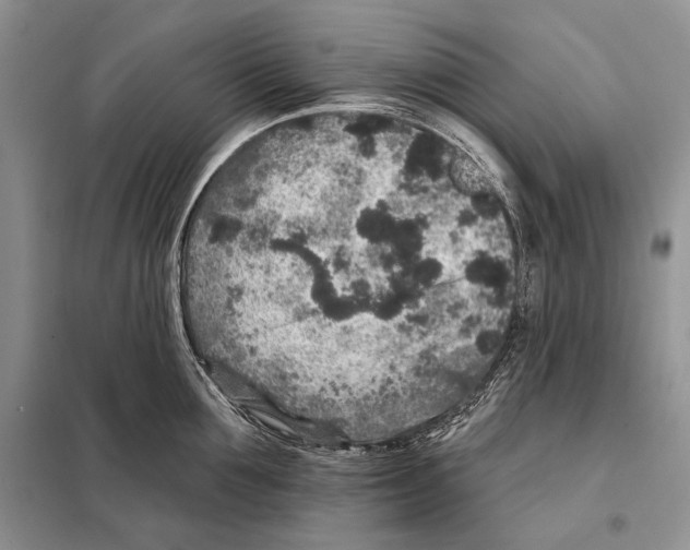 X0000098070907200805020954