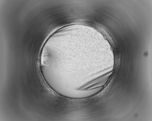 X0000098070908200805020954