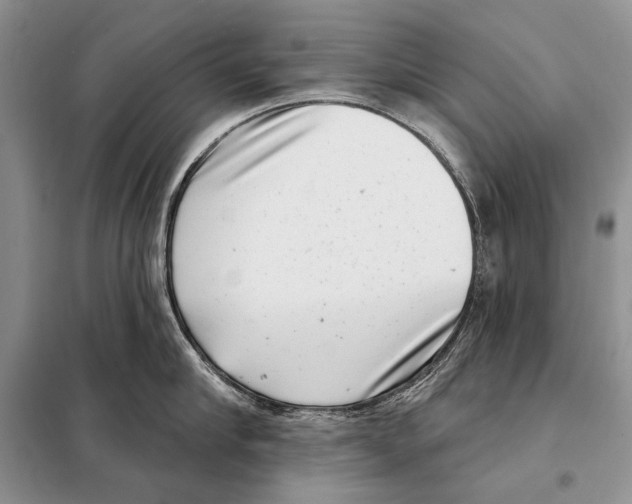 X0000098070910200805020954