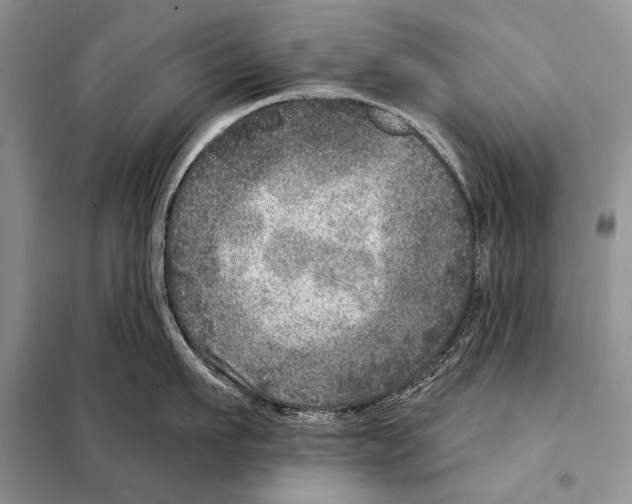 X0000098070911200805020954