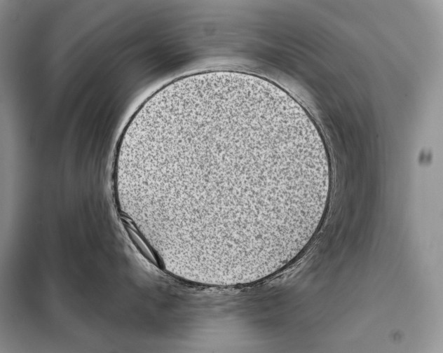 X0000098070912200805020954