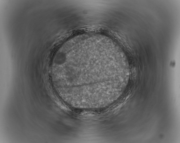 X0000098070913200805020954