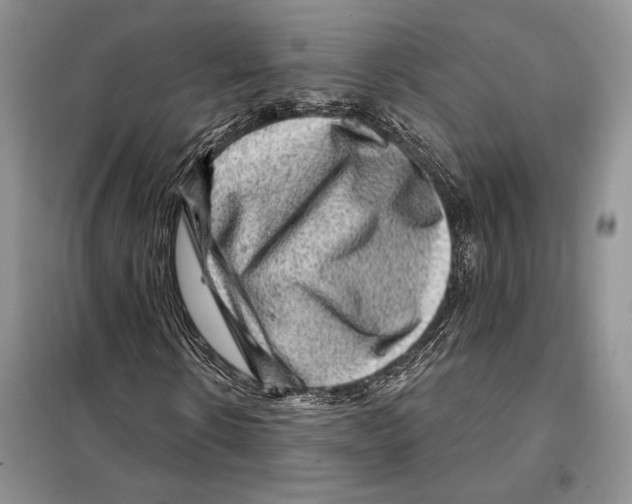 X0000098070914200805020954