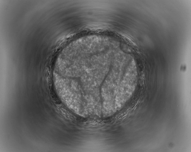 X0000098070917200805020954