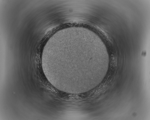 X0000098070918200805020954