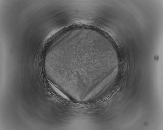 X0000098070919200805020954