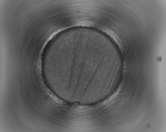 X0000098070923200805020954