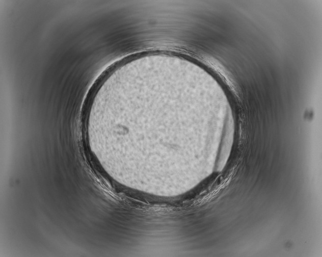 X0000098070924200805020954