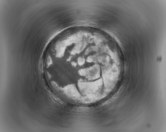 X0000098070925200805020954