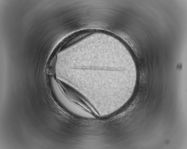 X0000098070926200805020954