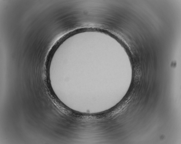 X0000098070927200805020954