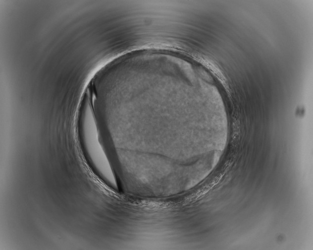 X0000098070928200805020954