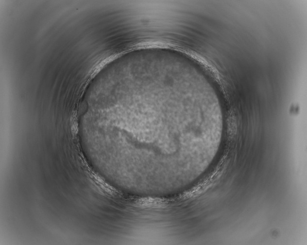 X0000098070929200805020954