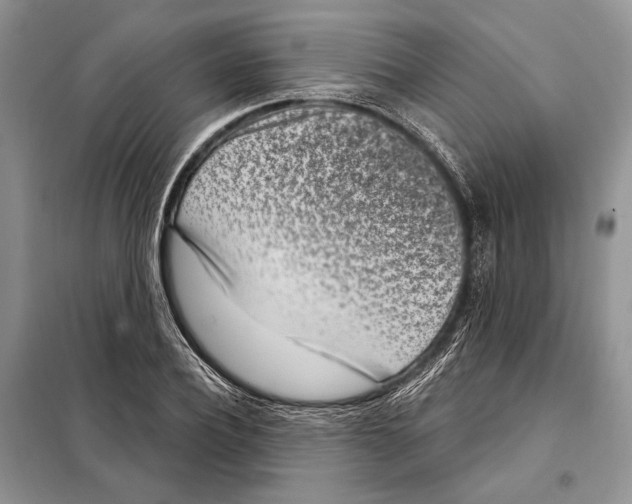 X0000098070932200805020954