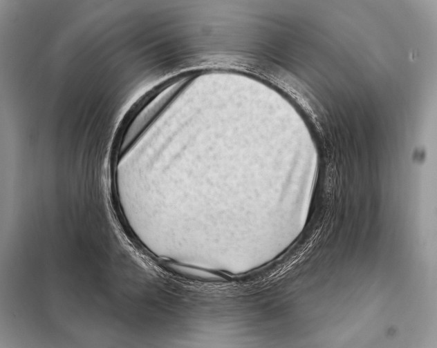 X0000098070936200805020954