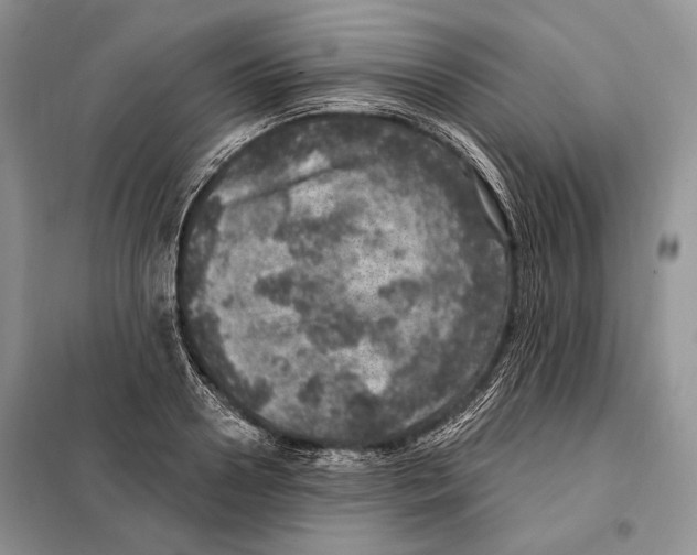 X0000098070938200805020954