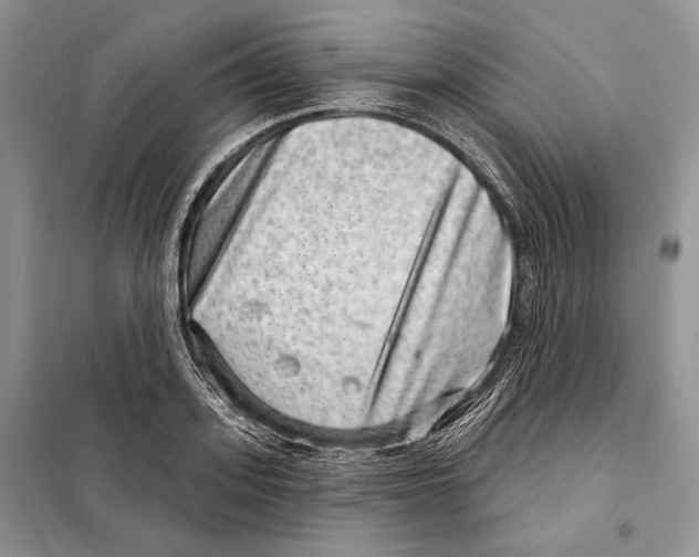 X0000098070939200805020954