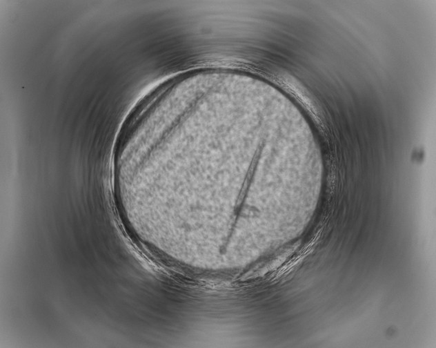 X0000098070940200805020954