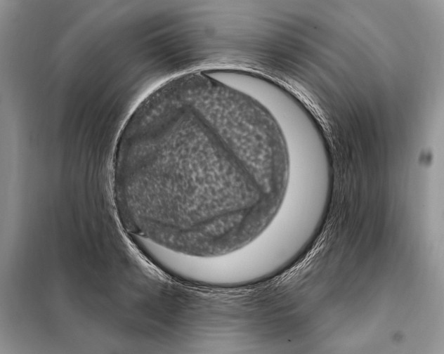 X0000098070942200805020954