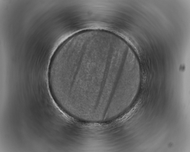 X0000098070943200805020954