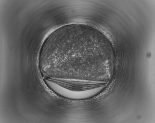 X0000098070944200805020954