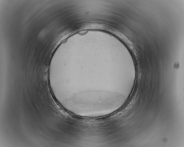 X0000098070945200805020954