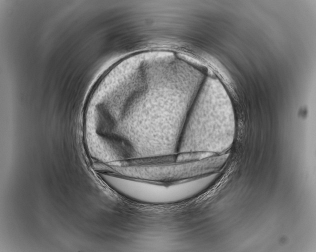 X0000098070948200805020954