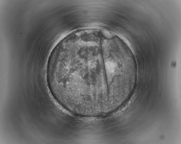 X0000098070949200805020954