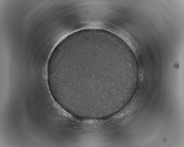 X0000098070950200805020954