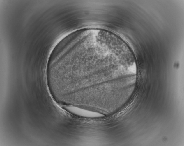 X0000098070951200805020954