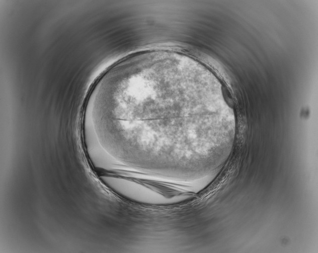 X0000098070952200805020954