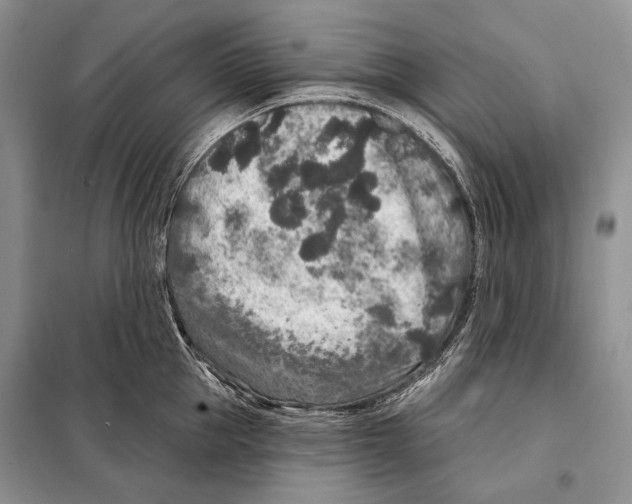 X0000098070953200805020954