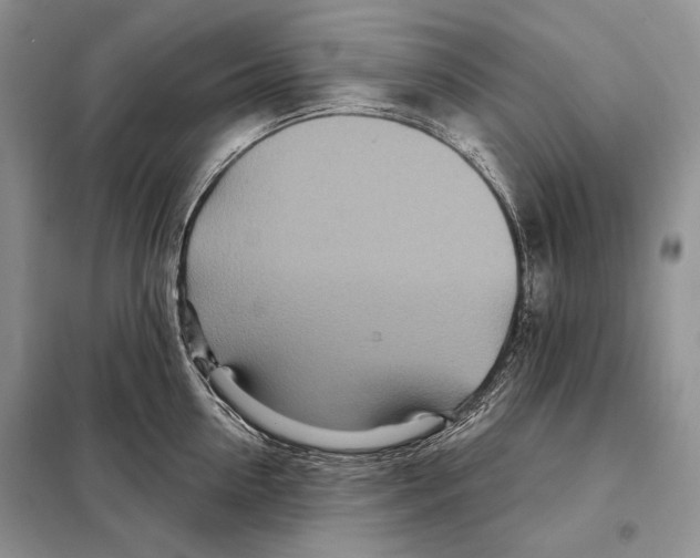 X0000098070954200805020954