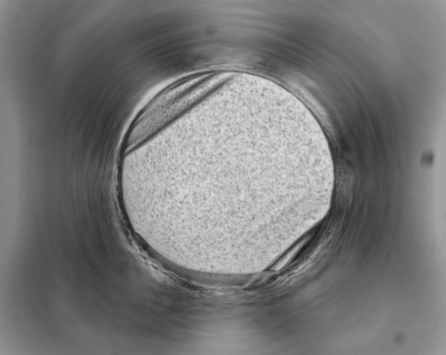 X0000098070956200805020954