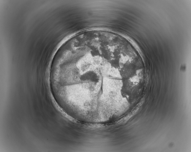 X0000098070957200805020954