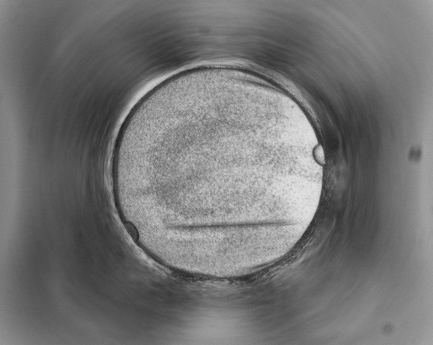 X0000098070959200805020954