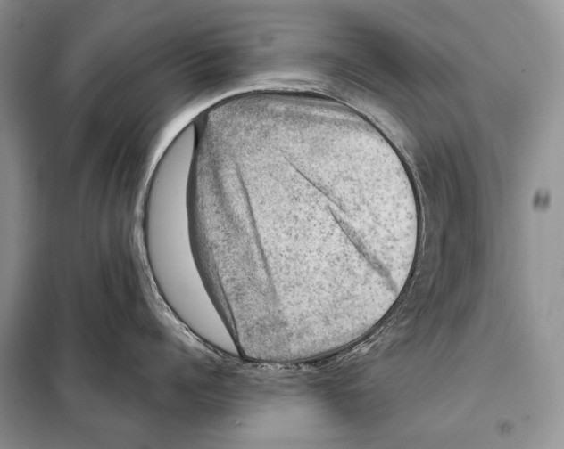 X0000098070960200805020954