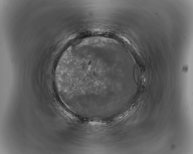 X0000098070961200805020954