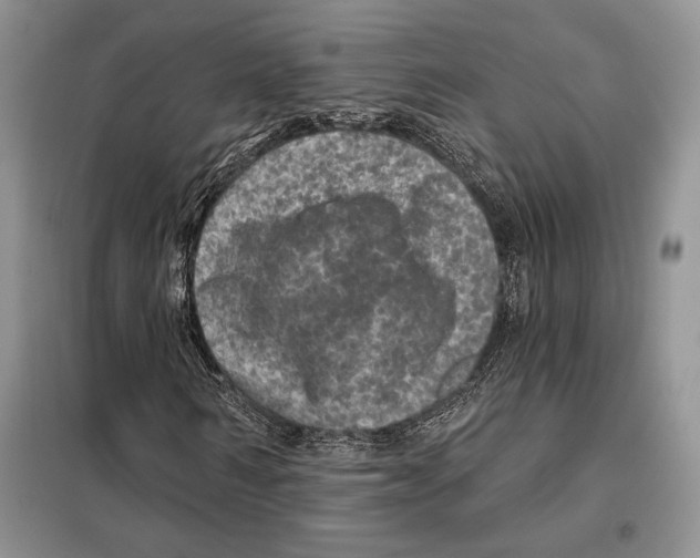 X0000098070962200805020954