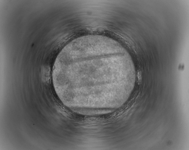 X0000098070963200805020954