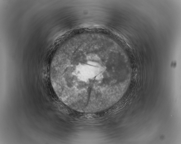 X0000098070966200805020954