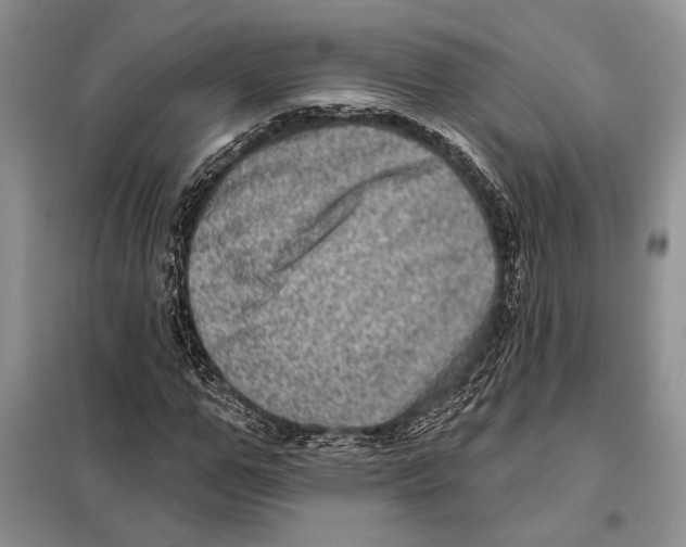 X0000098070967200805020954