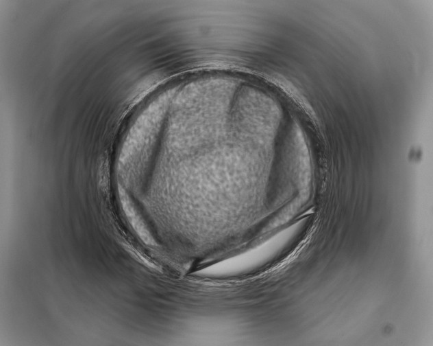 X0000098070969200805020954