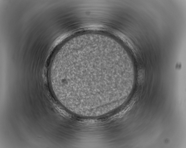 X0000098070970200805020954